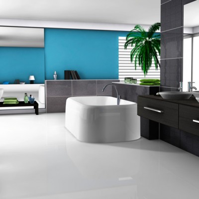 Designer bathroom